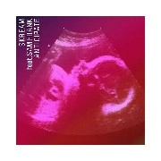 SKREAM FEAT SAM FRANK / ANTICIPATE