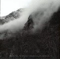 FALLS OF RAUROS / LIGHT THAT DWELLS IN ROTTEN WOOD