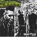 BRAINS / ブレインズ / DRUNK NOT DEAD