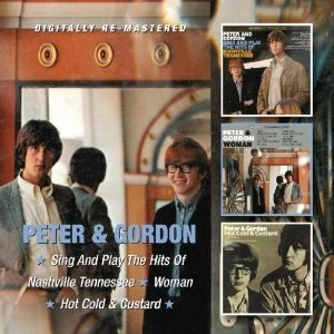 PETER & GORDON / ピーター&ゴードン / SING AND PLAY THE HITS OF NASHVILLE TENNES