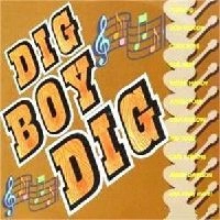 V.A. (ROCK'N'ROLL/ROCKABILLY) / DIG BOY DIG!