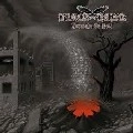 BLACK HAWK / STRAIGHT TO HELL