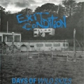 EXIT CONDITION / イグジットコンディション / DAYS OF WILD SKIES