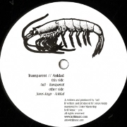 AND/JONAS KOPP   / TRANSPARENT/ANKLAD