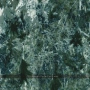 VOICES FROM THE LAKE / ヴォイシズ・フロム・ザ・レイク / VOICES FROM THE LAKE