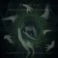 SPLIT (EMME YA / POSTHUMAN TANTRA) / ヴォルテックス・オブ・ザ・プライマル