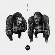 MARIO & VIDIS / CHANGED