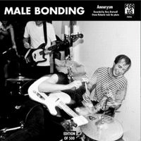 MALE BONDING / EMA / NIRVANA COVERS - ANEURYSM / ENDLESS NAMELE