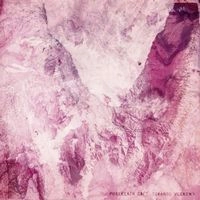 PORCELAIN RAFT / STRANGE WEEKEND(LP)