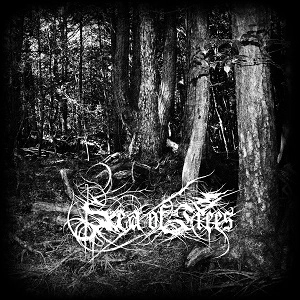 SEA OF TREES / AOKIGAHARA