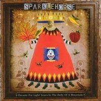 SPARKLEHORSE / スパークルホース / DREAMT FOR LIGHT YEARS IN