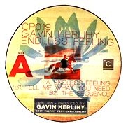 GAVIN HERLIHY / ENDLESS FEELING