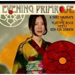 高浪慶太郎とプレイタイム・ロック・ミーツ・柴田健一   / EVENING PRIMROSE
