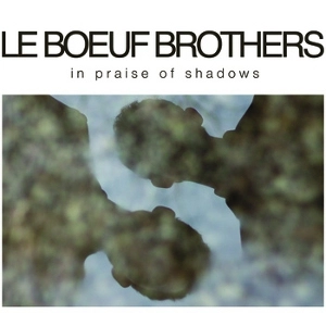 LE BOEUF BROTHERS / IN PRAISE OF SHADOWS