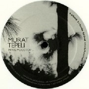 MURAT TEPELI / ムラート・テペリ / IN THE MOOD FOR...
