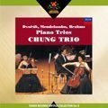 CHUNG TRIO / チョン・トリオ / ドヴォルザーク：ピアノ三重奏曲集