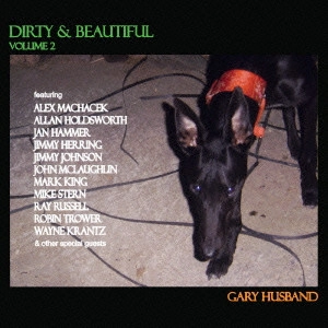 GARY HUSBAND / ゲイリー・ハズバンド / ダーティー&ビューティフル Vol.2 / DIRTY & BEAUTIFUL VOLUME 2