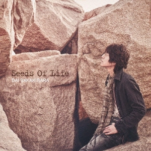 DAI SAKAKIBARA / 榊原大 / Seeds Of Life / SEEDS OF LIFE
