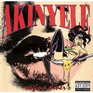 AKINYELE / アキネリ / VAGINA DINER