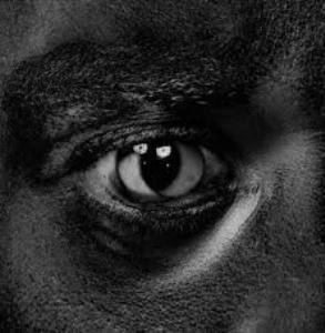 WILEY / ワイリー / EVOLVE OR BE EXTINCT