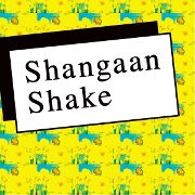 V.A.(MARK ERNESTUS/ONI AYHUN/MMM...) / SHANGAAN SHAKE