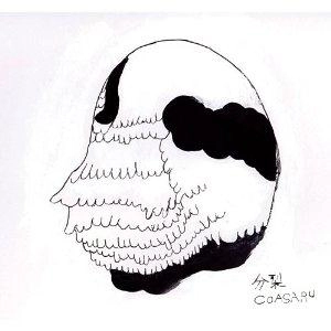 COASARU / 分裂