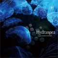 a crowd of rebellion / HYDRANGEA
