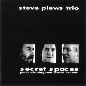 STEVE PLEWS / SECRET SPACES