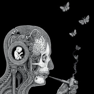 SOEN / ソーエン / COGNITIVE(DIGI)
