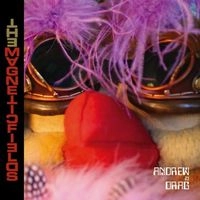 MAGNETIC FIELDS / マグネティック・フィールズ / ANDREW IN DRAG