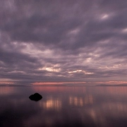 SONITUS ECO / IT IS LONELINESS THAT MAKES THE LOUDEST NO