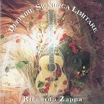 RICCARDO ZAPPA / リッカルド・ザッパ / DEFINIRE SIGNIFICA LIMITARE