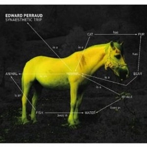 EDWARD PERRAUD / SYNAESTHETIC TRIP