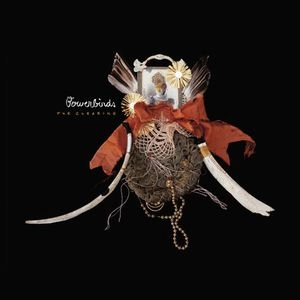 BOWERBIRDS / バウアーバーズ / CLEARING(LP)