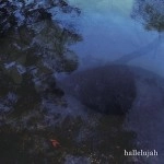 悲岸 / ｈａｌｌｅｌｕｊａｈ