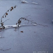 SIGHA / ABSTRACTIONS I-IV