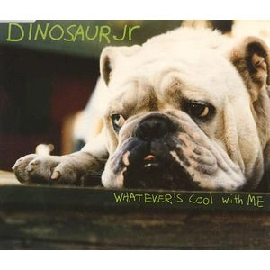 DINOSAUR JR. / ダイナソー・ジュニア / WHATEVER'S COOL WITH ME (4 TRACKS-2 LIVE E