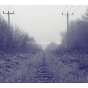 SHIFTED  / CROSSED PATHS