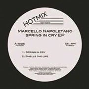 MARCELLO NAPOLETANO / SPRING IN CRY EP
