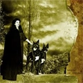 BEAU NAVIRE : REPUBLIC OF DREAMS / REPUBLIC OF DREAM:BEAU NAVIRE