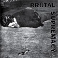 VA (PAINKILLER RECORDS) / BRUTAL SUPREMACY