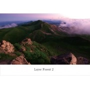 V.A.(ARC OF DOVES,LADY CITIZEN,DTF...) / Ｌａｙｅｒ　Ｆｏｒｅｓｔ　２