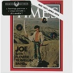 JOE YAMANAKA WITH FLOWER TRAVELLIN' BAND / ジョー山中 with F.T.B. / THE TIME