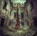 BIRTH ASPHYXIA / バース・アスフィクシア / ヒューマン・オベリスク