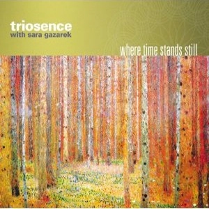 TRIOSENCE / トリオセンス / WHERE TIME STANDS STILL