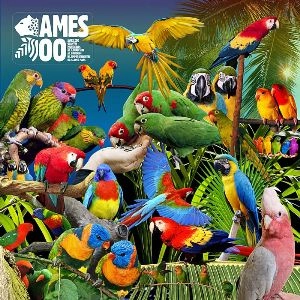 JAMESZOO / ジェイムスズー / GUANYIN PSITTACINES EP
