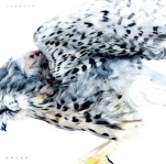 ハイスイノナサ / 動物の身体