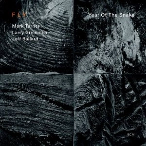 FLY (MARK TURNER/LARRY GRENADIER/JEFF BALLARD) / YEAR OF THE SNAKE