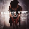 DEAD AND DIVINE / デッド・アンド・ディヴァイン / ANTIMACY