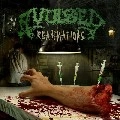 AVULSED / アブルセド / REANIMATIONS